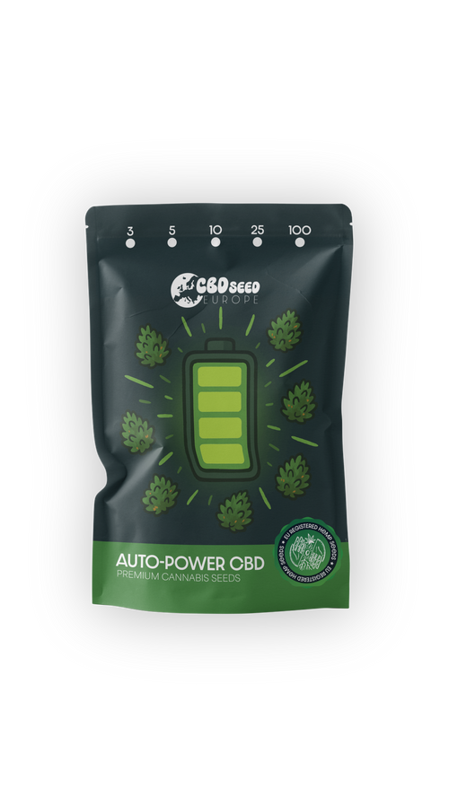 Auto-Power 1